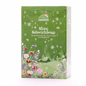 Adventskalender Nachhaltig Naturerlebnisse Klein