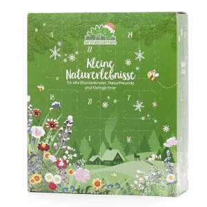 Adventskalender Nachhaltig Kleine Naturerlebnisse